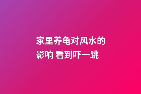 家里养龟对风水的影响 看到吓一跳